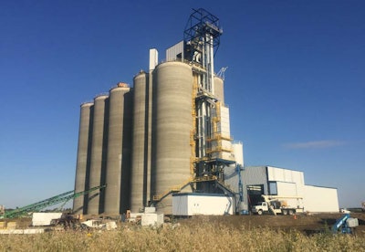 Grains Connect Case History