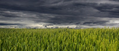 Clouds 1948401