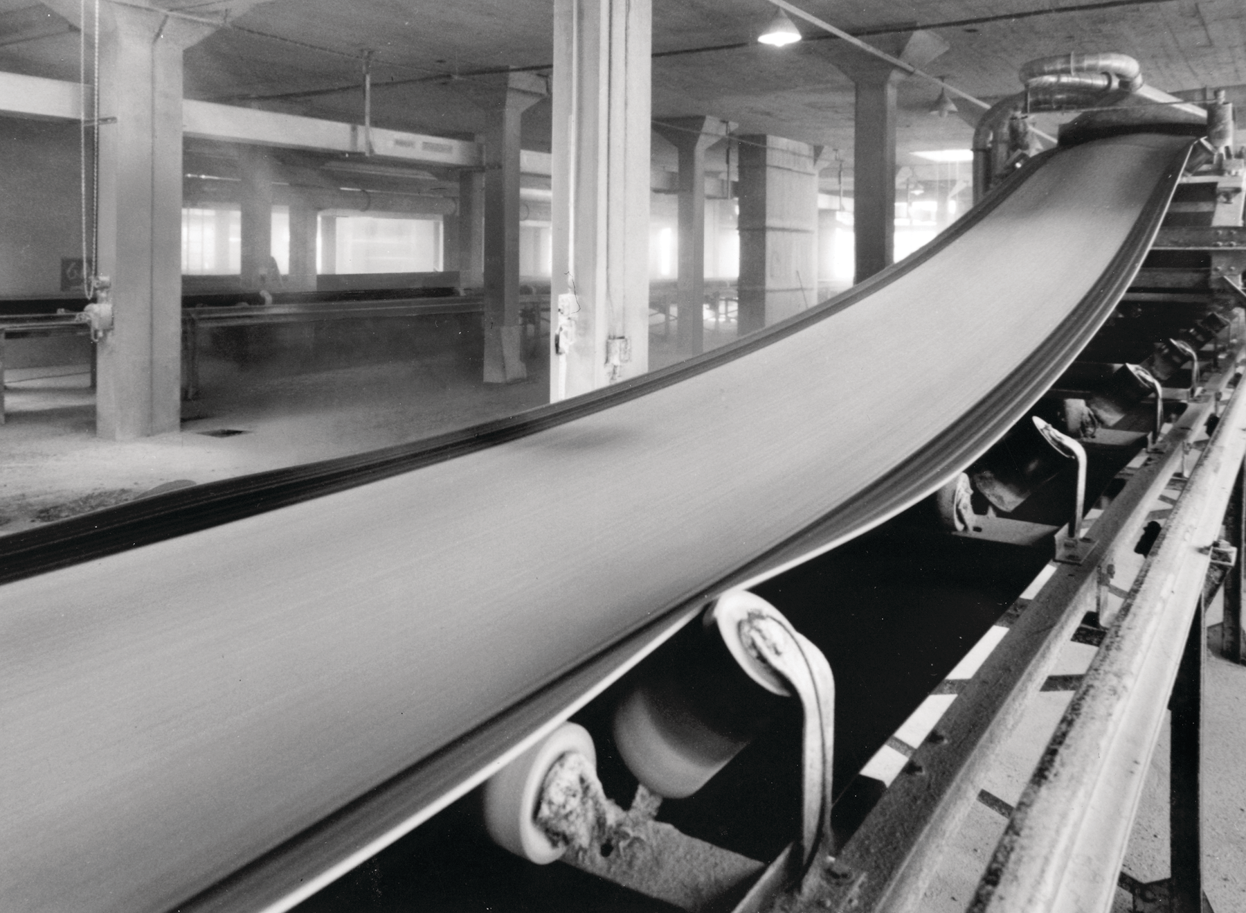 Conveyorbelting 10003248