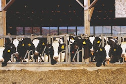 2020-dairy-feed-production-outlook