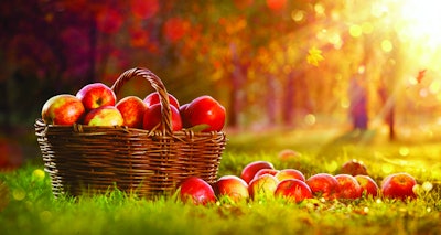 Apples get rave nutritional reviews in the human food space. Should they get getting equal consideration in pet foods? (Pasko Maksim | Shutterstock.com)