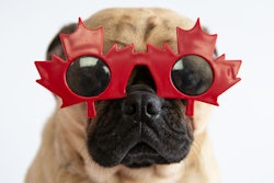 et owners in Canada love their pets, and there is nuance to how they feed their animals depending on where they live. | (Lori Beneteau | Shutterstock.com)