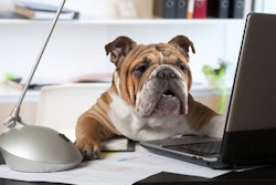 (alkir; BigStock.com)