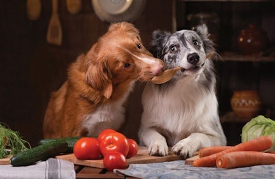 Fresh pet food is becoming more popular with pet owners who seek to match their pets’ food lifestyles to their own. | (dezy | Shutterstock.com)
