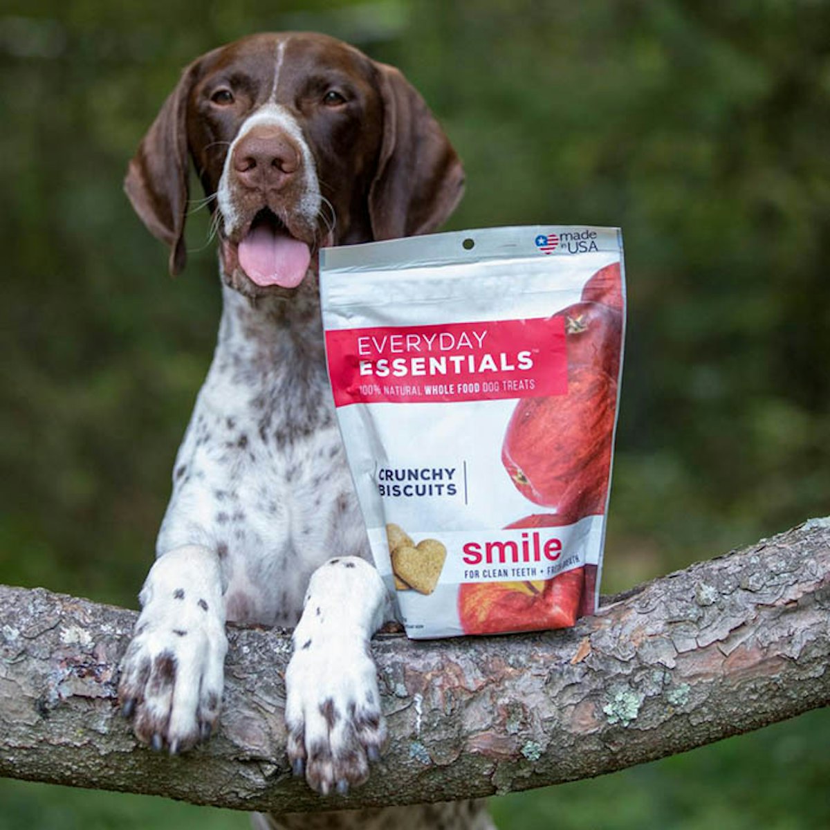 Isle of Dogs Everyday Essentials crunchy biscuits PetfoodIndustry