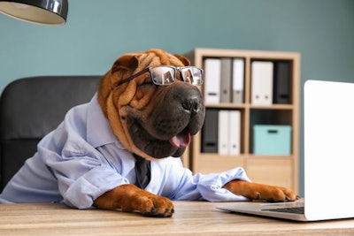 Wrinkled Dog Business Computer Desk Shar Pei