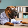 (Studio-pixeltext, BigStock.com)