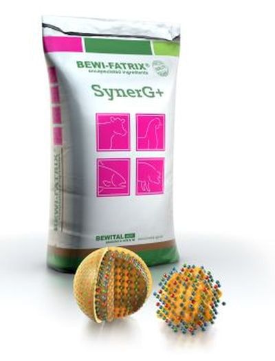 Betiwal Bewi Fatrix Syner G Plus 1