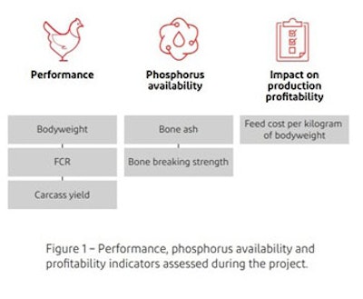 Image courtesy of DuPont Animal Nutrition