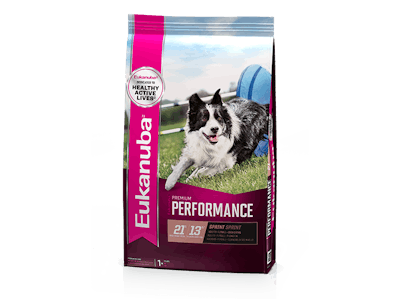 Eukanuba-Premium-Performance-dog-food