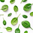 Spinach is a staple in the “superfoods” world among humans, and it seems to have great potential to serve the same purpose in pet foods. | (virtu studio | Shutterstock.com)