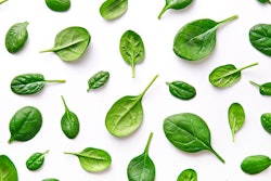 Spinach is a staple in the “superfoods” world among humans, and it seems to have great potential to serve the same purpose in pet foods. | (virtu studio | Shutterstock.com)