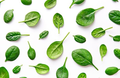 Spinach is a staple in the “superfoods” world among humans, and it seems to have great potential to serve the same purpose in pet foods. | (virtu studio | Shutterstock.com)