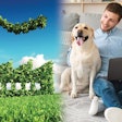 The top trends for 2021 are heavily influenced by the events of 2020. Sustainability and e-commerce will dominate the space as pet owners reshape the way business is conducted. | (Petmall, iStock.com | Prostock-studio, Shutterstock.com)