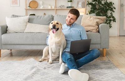 Online Shopping With Dog