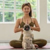Health and wellness will be among the top concerns for pet owners going into 2021. Yuttana Jaowattana | Shutterstock.com