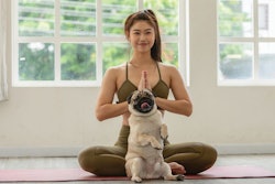 Health and wellness will be among the top concerns for pet owners going into 2021. Yuttana Jaowattana | Shutterstock.com