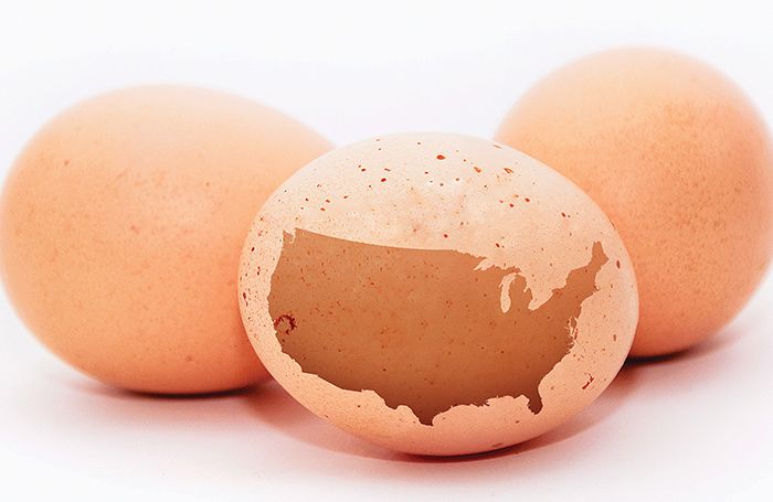 (igor stevanovic | Bigstock.com)