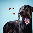 Pet treats continue to provide ample growth opportunities for pet food companies who can make their way through the current trends. | (Luiza Kleina | Shutterstock.com)