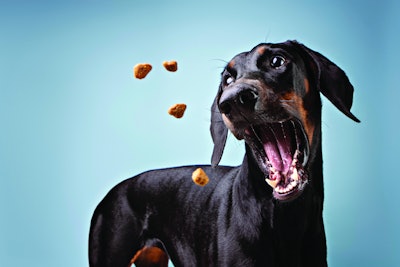 Pet treats continue to provide ample growth opportunities for pet food companies who can make their way through the current trends. | (Luiza Kleina | Shutterstock.com)