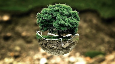 Environment green pollution VIA PIXABAY Feb 2021