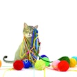 Pet owners seem to want plenty of choices when it comes to what they feed their animals … but too many of those choices can make decisions more difficult. | (101cats | iStock.com)