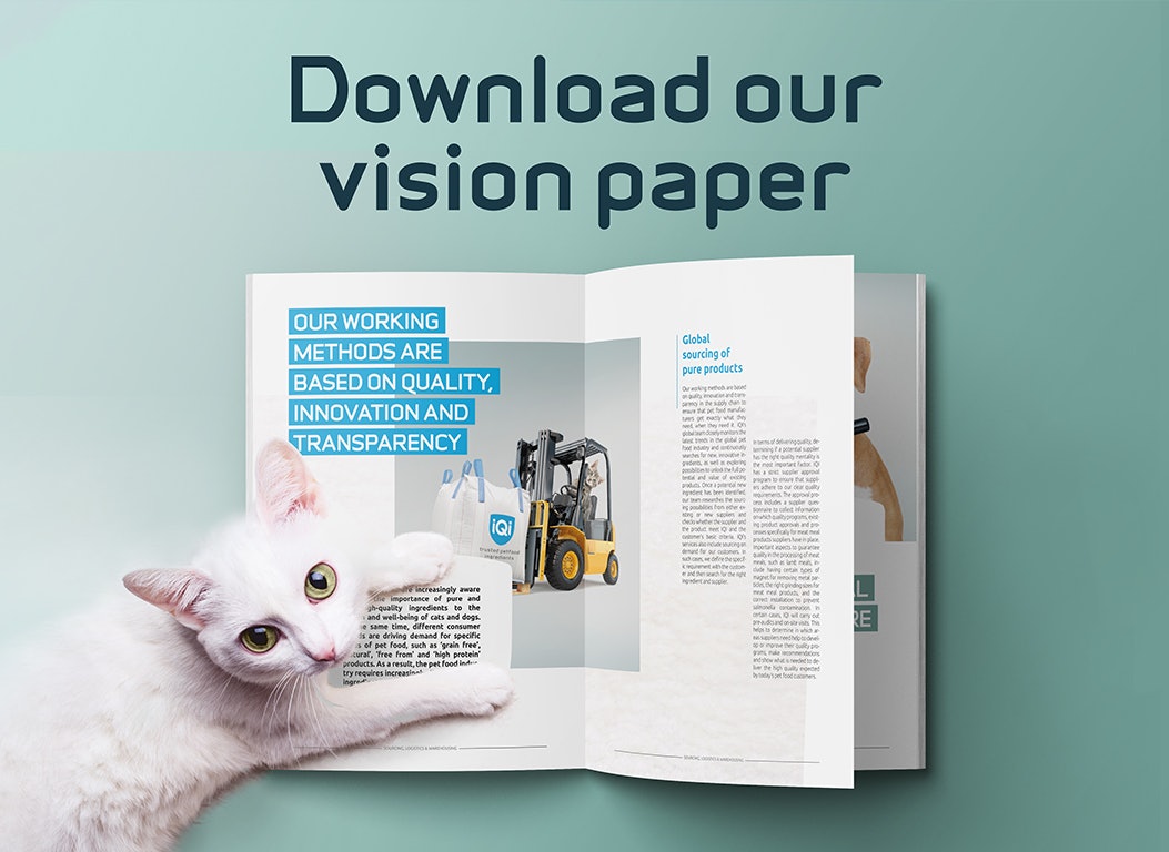Iqi Vision Paper Visual Website