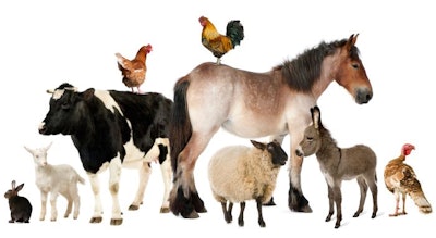 (Life on White | Bigstock)