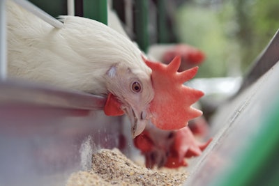 Sustained productivity enhancement through enzyme toolboxes may be on the horizon. | (Krugloff | iStock.com)