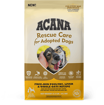 Champion Petfoods ACANA rescue care for adopted dogs Petfood