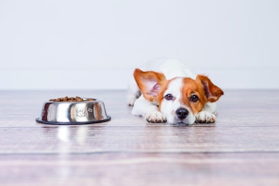 AAFCO’s Ingredient Definitions Committee had plenty to discuss at the Mid-Year Meeting. | (Eva Blanco I iStock.com)