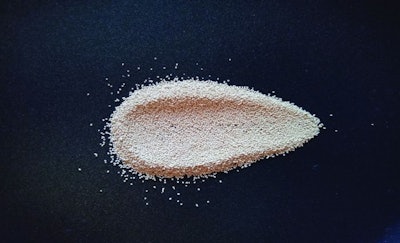 Yeast has potential as a high-quality, sustainable protein source in pet food formulations. (falaha I shutterstock.com)