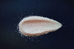 Yeast has potential as a high-quality, sustainable protein source in pet food formulations. (falaha I shutterstock.com)