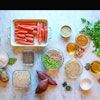 Plant-based pet food is a rising trend, with health and sustainability among the top driving forces. | (Courtesy Petaluma)