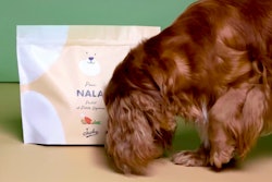 Japhy, a French pet food producer, specializes in tailor-made meals for dogs. l Courtesy of Japhy