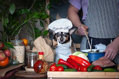 Dog In Chef Hat Cooking Human Food In Kitchen With Man