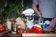 Dog In Chef Hat Cooking Human Food In Kitchen With Man