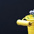 Bucket 2156659 1920