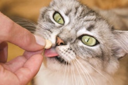 Supplements in the pet space are getting a closer look as pet owners take on more of their pets’ health and wellness responsibilities themselves. | Elenica | Shutterstock.com