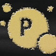 Dietary phosphorus is fairly easy to come by, which makes it all the more complex to control in a pet food formulation. | Allexxandar I iStock.com