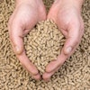 Hands Hold Granules Of Animal Feed. Food For Animals.