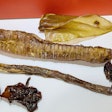 Water buffalo co-product dog chews, including trachea, lung, hoof and ear, at Honey I'm Home's booth at SuperZoo 2021 | Tim Wall