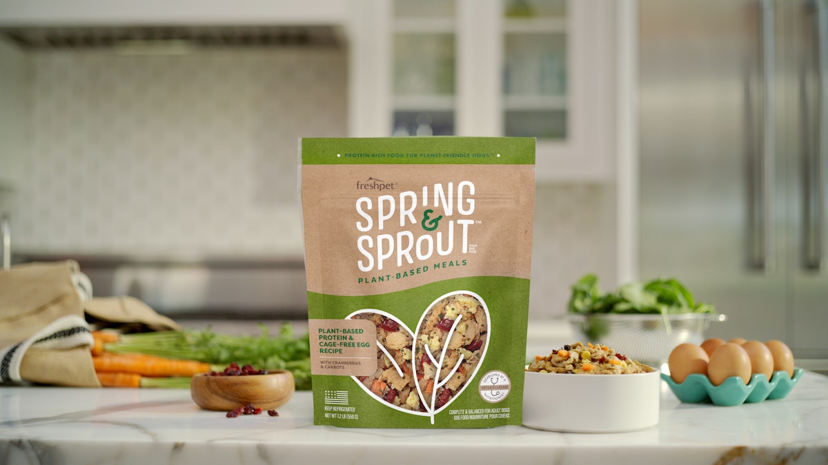 Plant based protein dog food outlet