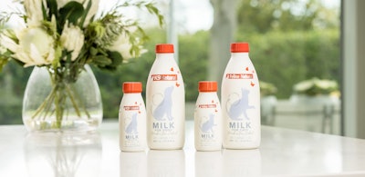 Natural Pet Food Group K9 Milk Feline Milk
