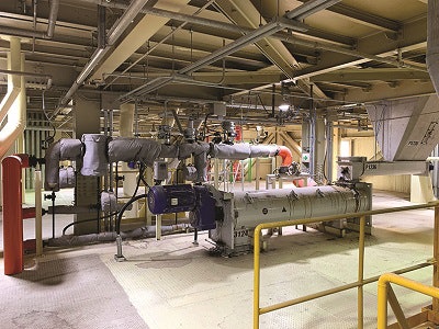 Armstrong Steam Harness