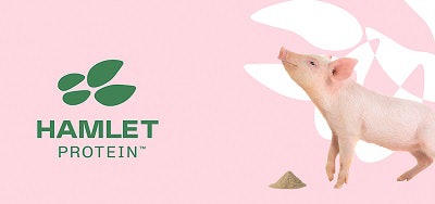 Hamlet Protein Fiber Boost