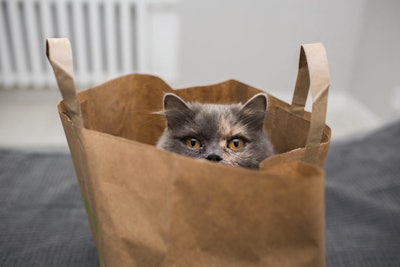 Top trends in pet food packaging are driven by both consumers and the industry itself. | (kmsh | iStock.com)