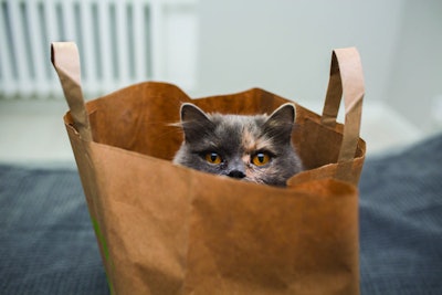 Top trends in pet food packaging are driven by both consumers and the industry itself. | (kmsh | iStock.com)