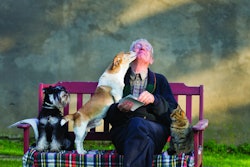 Demographics of dog ownership have shifted in the last decade, from an increase in the older generation to multiple-dog homes. | (Budimir Jevtic | Shutterstock.com)