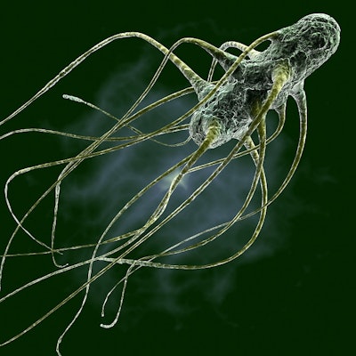 pseudolongino | BigStockPhoto.com